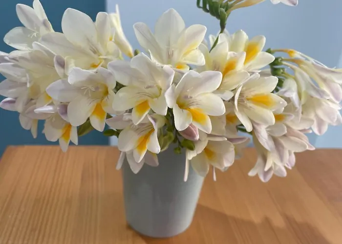 بيت ضيافة Casa Solmes أولبيا